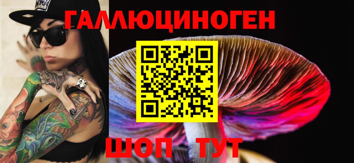 Галлюциногенные грибы Psilocybe Когалым