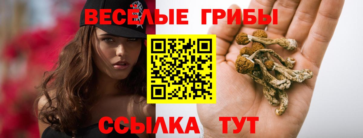 Псилоцибиновые грибы GOLDEN TEACHER  Вход с VPN  дарнет шоп  Когалым 
